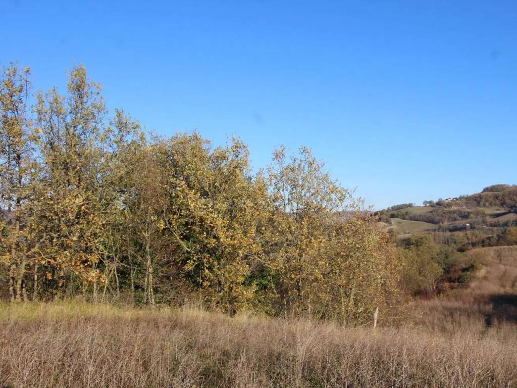 Rustico / casale a Fermignano in Strada Provinciale 43 - Foto 2