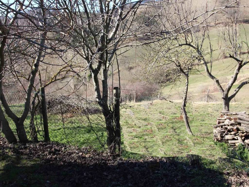 Rustico / casale a Apecchio in Via Martiri Della Libertà - Foto 4