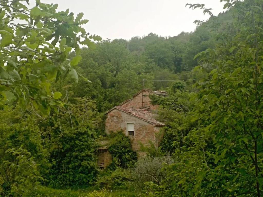 Rustico / casale a Montefelcino in Via Fontecorniale - Foto 3