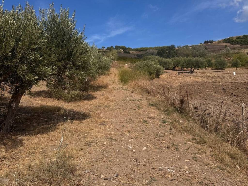 Rustico / casale a Buseto palizzolo in Via Pietro Toselli - Foto 5