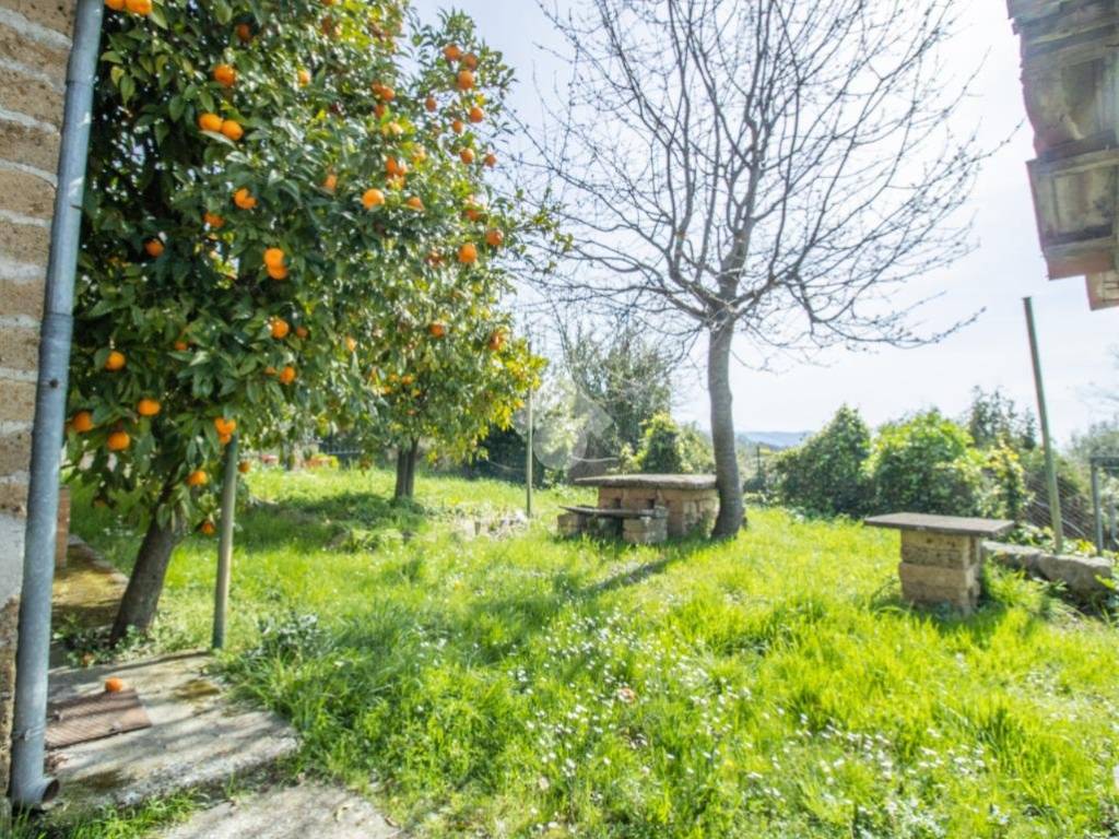 Casa indipendente a Torri in sabina in Vocabolo colle calvio - Foto 4