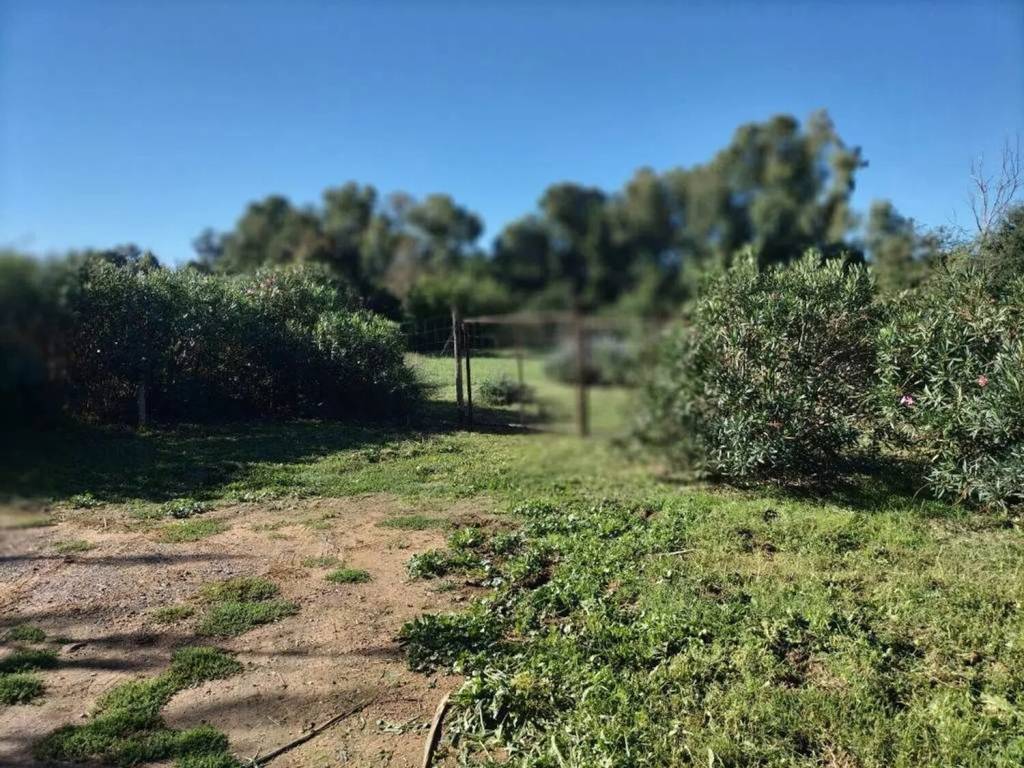 Terreno a Orbetello in Via Dello Stagnone No Number - Foto 2