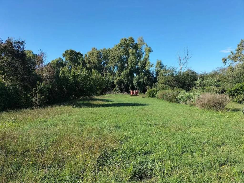 Terreno a Orbetello in Via Dello Stagnone No Number - Foto 4