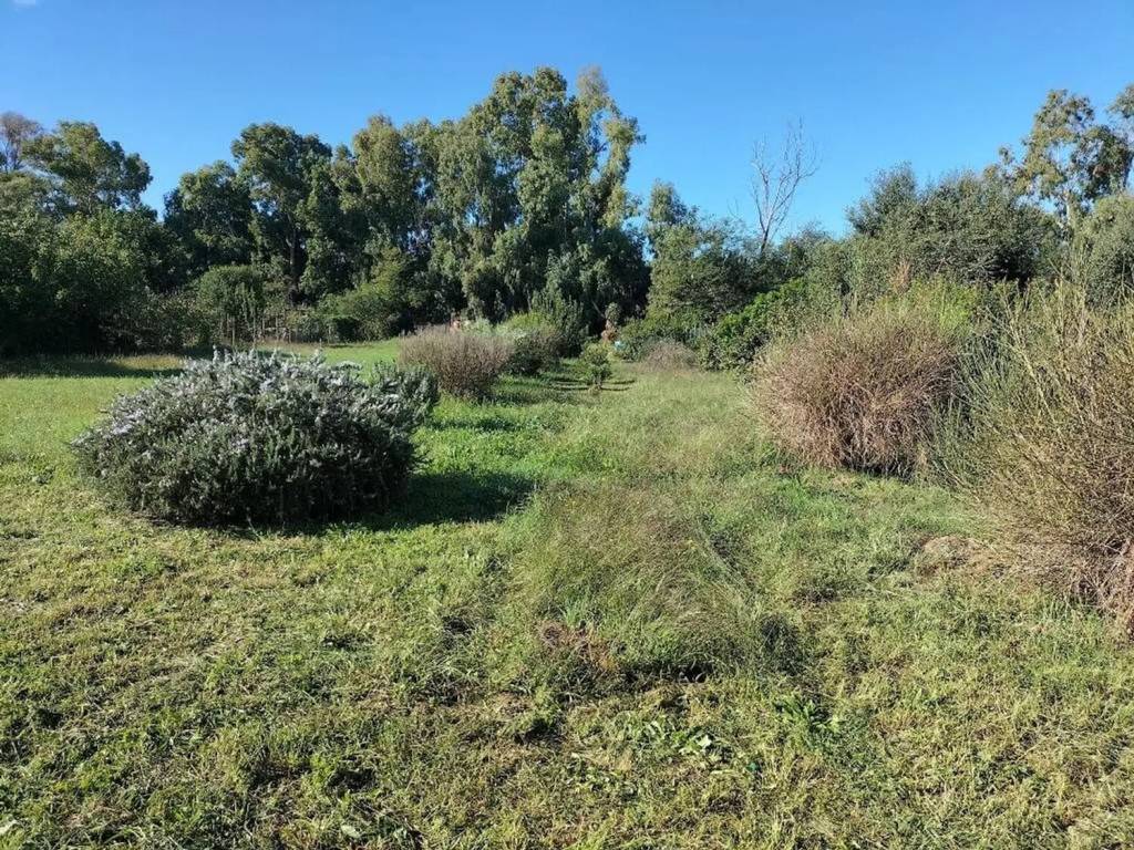 Terreno a Orbetello in Via Dello Stagnone No Number - Foto 5