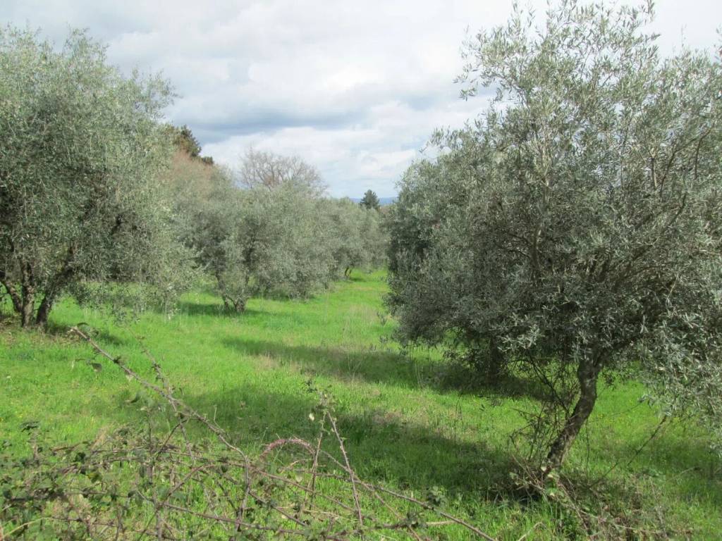 Terreno a Semproniano in Via Giacomo Matteotti No Number - Foto 2