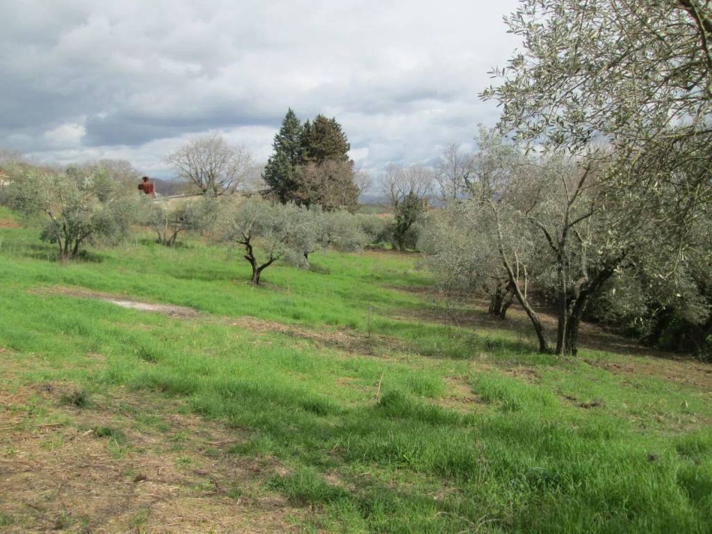 Terreno a Semproniano in Via Giacomo Matteotti No Number - Foto 3