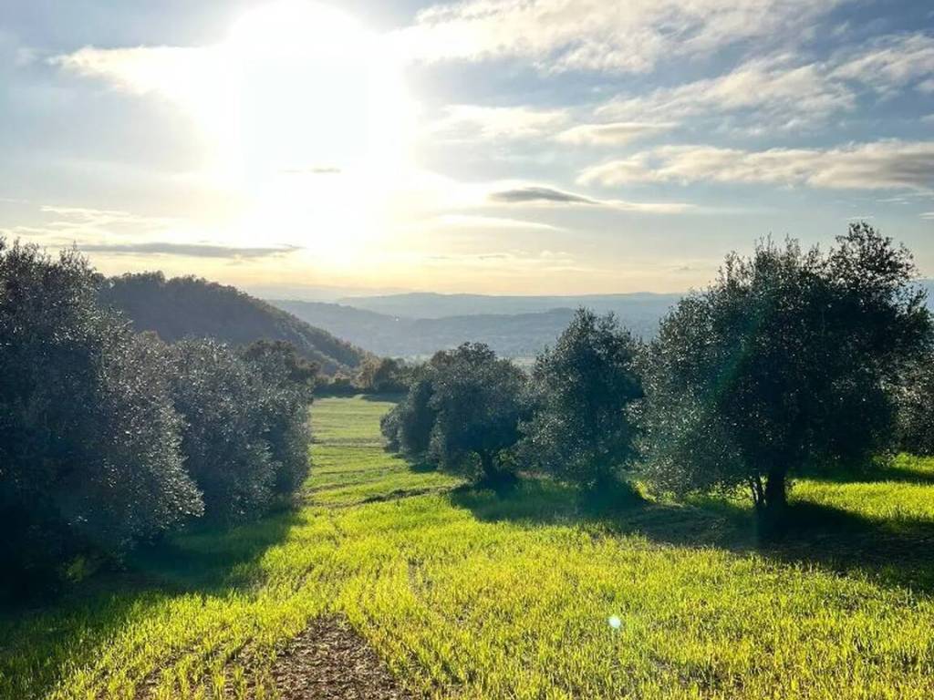 Rustico / casale a Semproniano in Località La Buca No Number - Foto 2