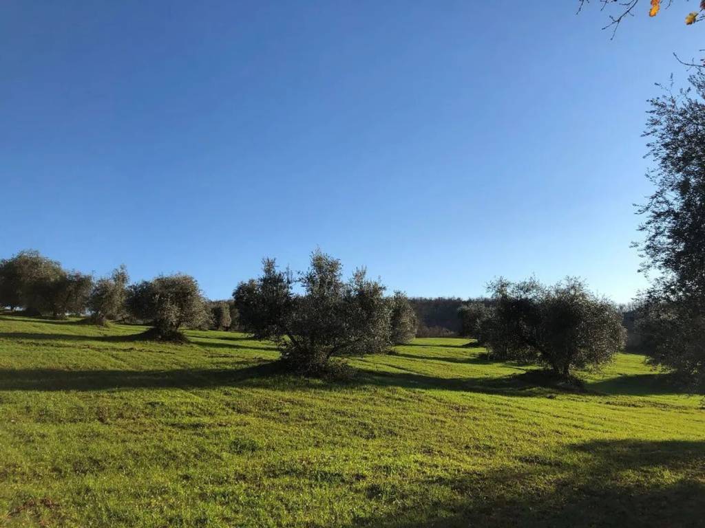 Rustico / casale a Semproniano in Località La Buca No Number - Foto 3