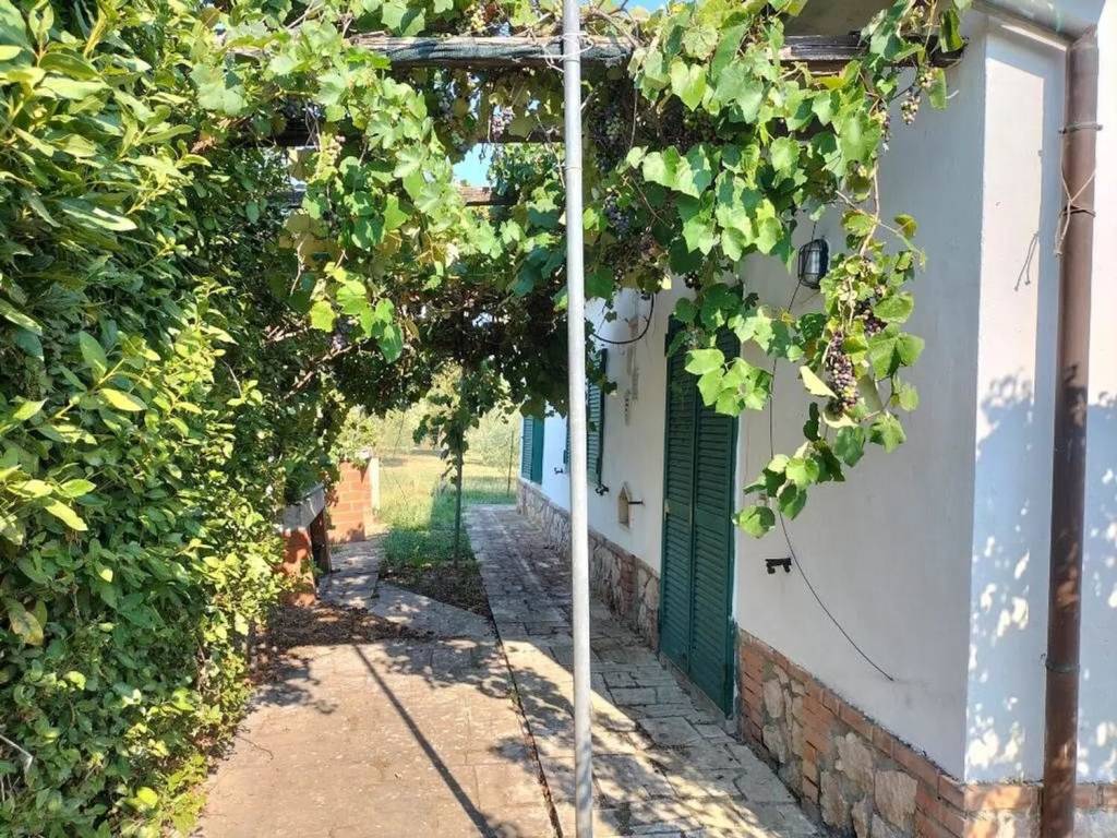 Rustico / casale a Orbetello in Strada Provinciale San Donato No Number - Foto 3