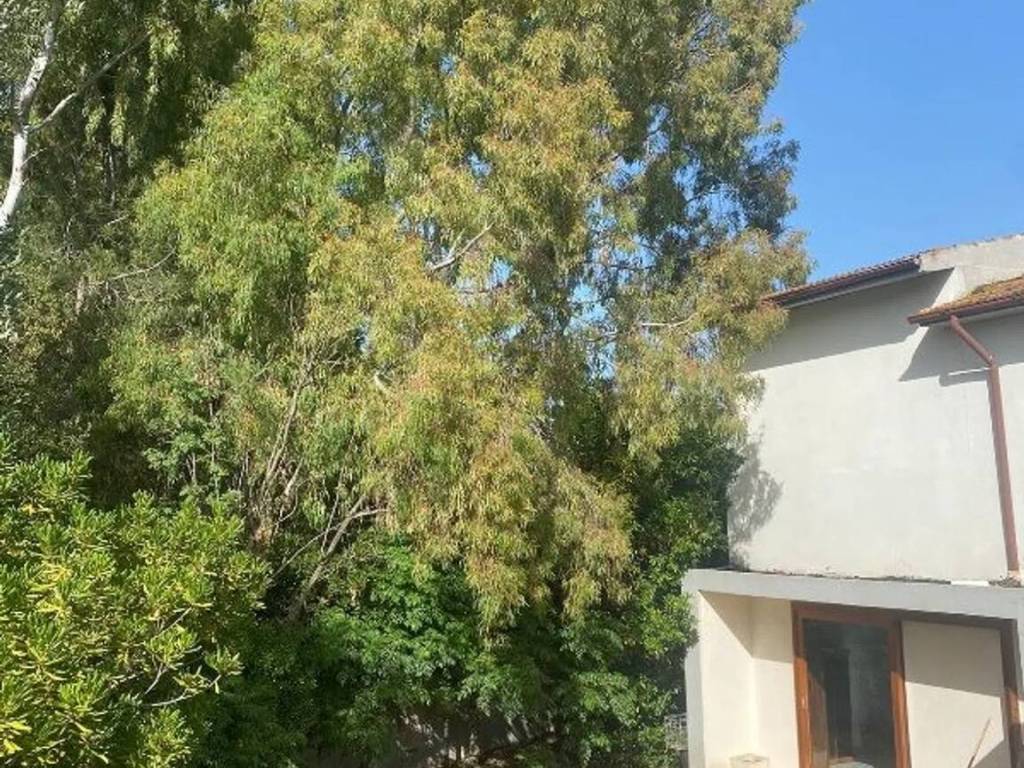Appartamento a Orbetello in Talamonese No Number - Foto 2