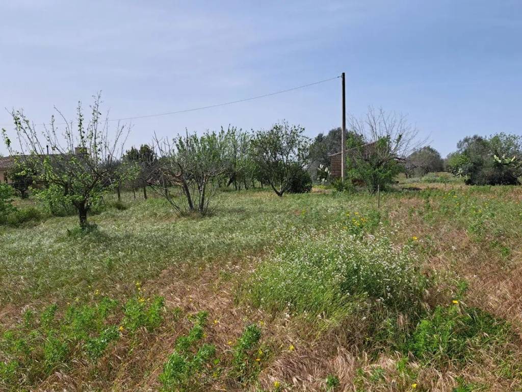 Terreno a Caltagirone in Via Andromeda, 1211 - Foto 3