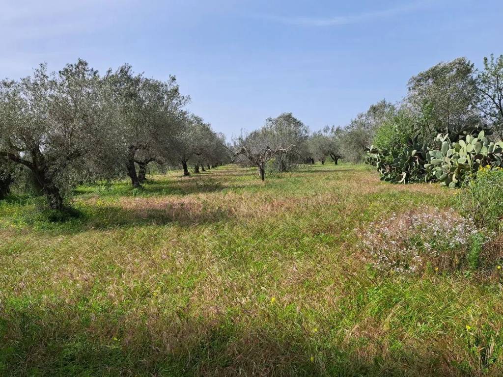 Terreno a Caltagirone in Via Andromeda, 1211 - Foto 4