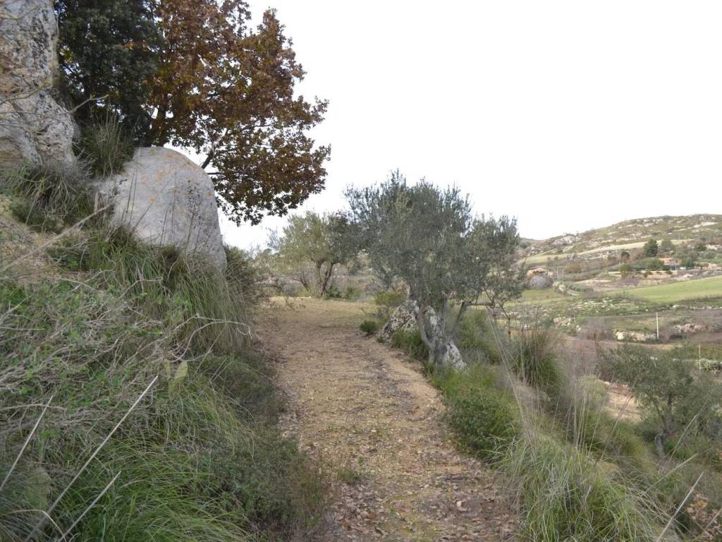 Terreno a Caltagirone in C/Da Montagna Caltagirone, Km 3 - Foto 2