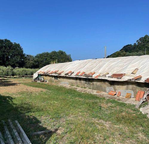 Terreno a Termoli in Via Giappone 137 - Foto 3