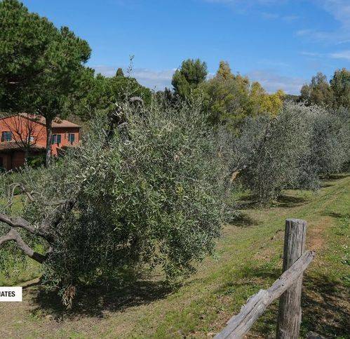 Villa a Campiglia marittima in Via Botro Ai Marmi - Foto 3