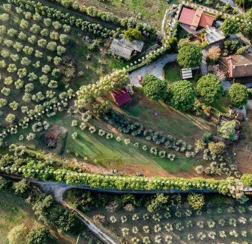 Villa a Campiglia marittima in Via Botro Ai Marmi - Foto 5