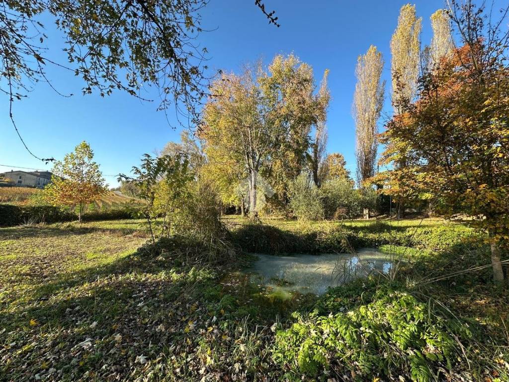 Rustico / casale a Sona in Via Molino - Foto 2