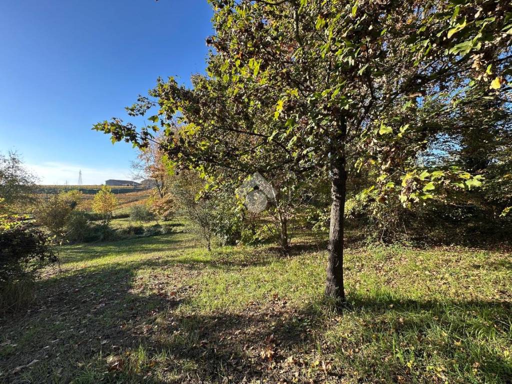 Rustico / casale a Sona in Via Molino - Foto 4