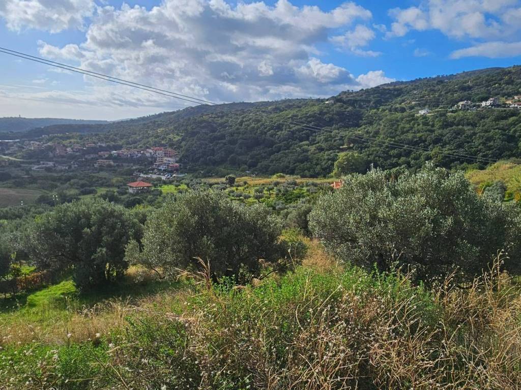 Terreno a Montepaone - Foto 5