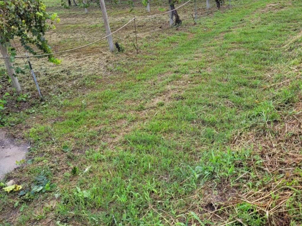 Terreno a Cadoneghe - Foto 4