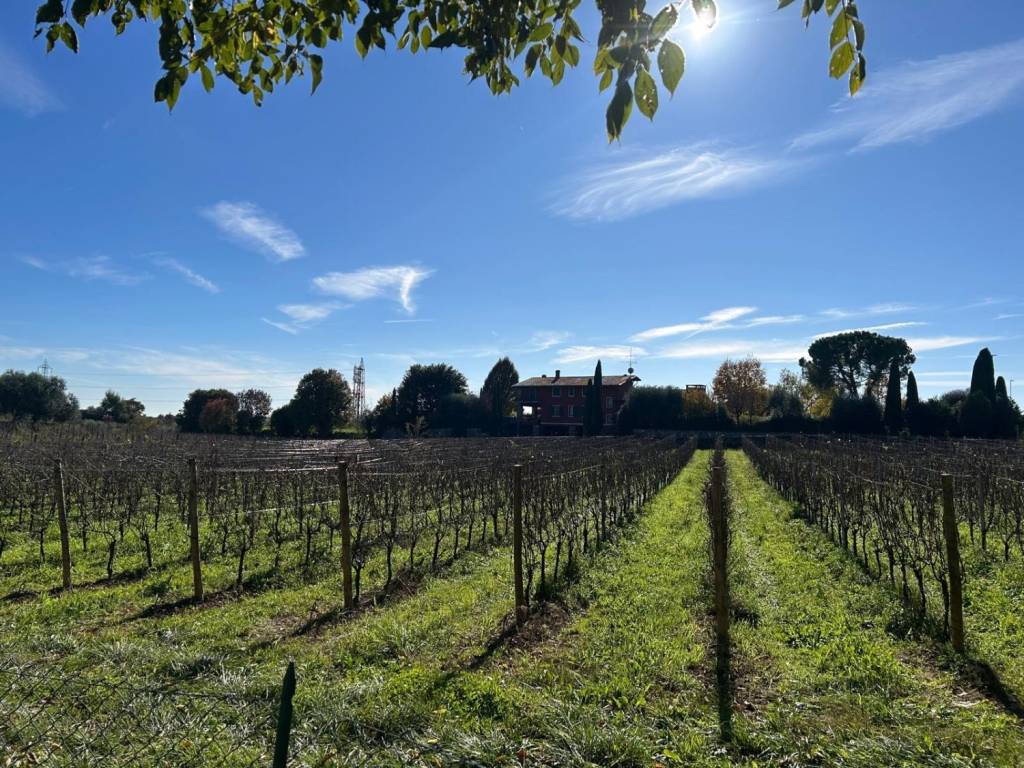 Appartamento a Corte franca - Foto 2