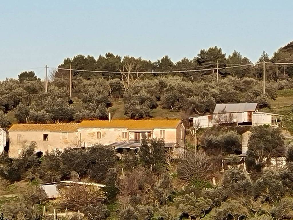 Rustico / casale a Torgiano - Foto 2