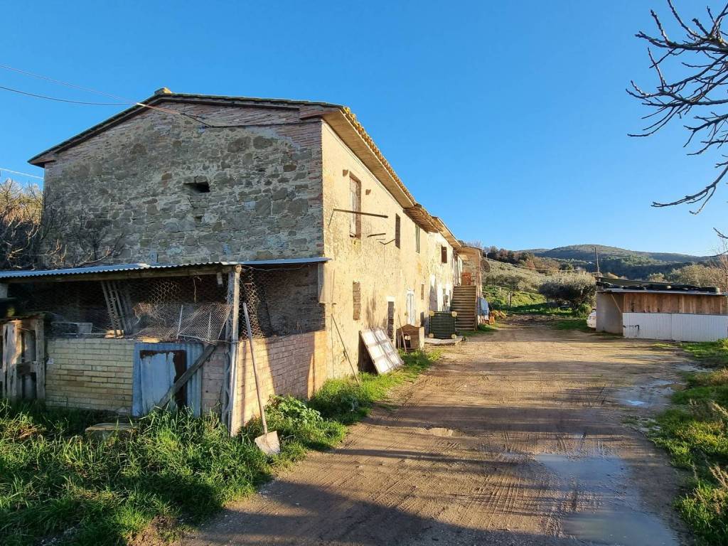Rustico / casale a Torgiano - Foto 3