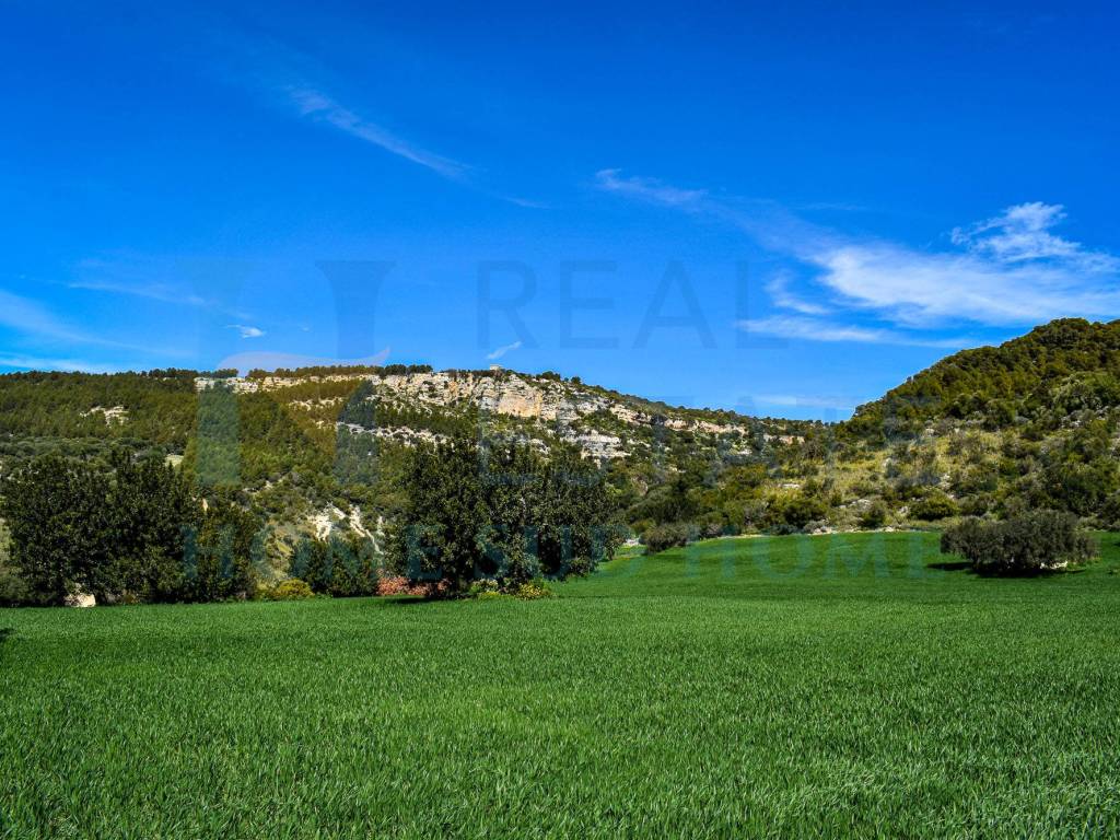 Rustico / casale a Noto in Via Principe Umberto, 1 - Foto 4