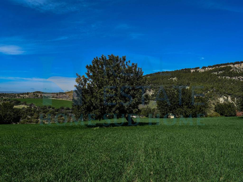 Rustico / casale a Noto in Via Principe Umberto, 1 - Foto 5