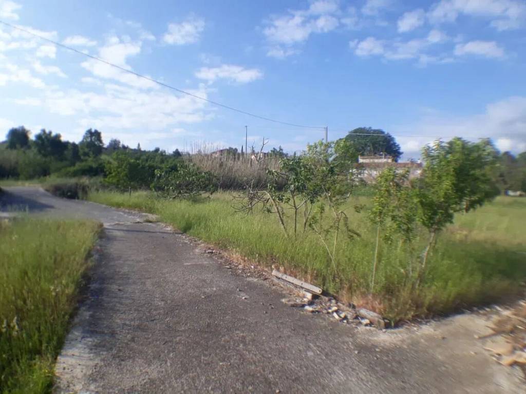 Terreno a Macchia d'isernia in Fonte Costanza - Foto 2