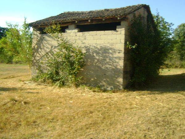 Rustico / casale a Ceprano in Via Colle Tassetano - Foto 3