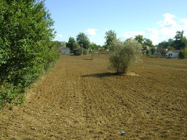 Rustico / casale a Ceprano in Via Colle Tassetano - Foto 4