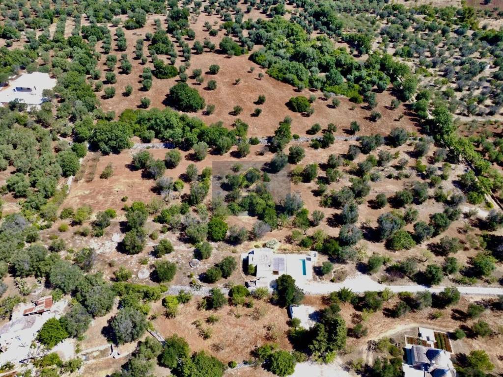 Terreno a Ostuni in Sp28 - Foto 4