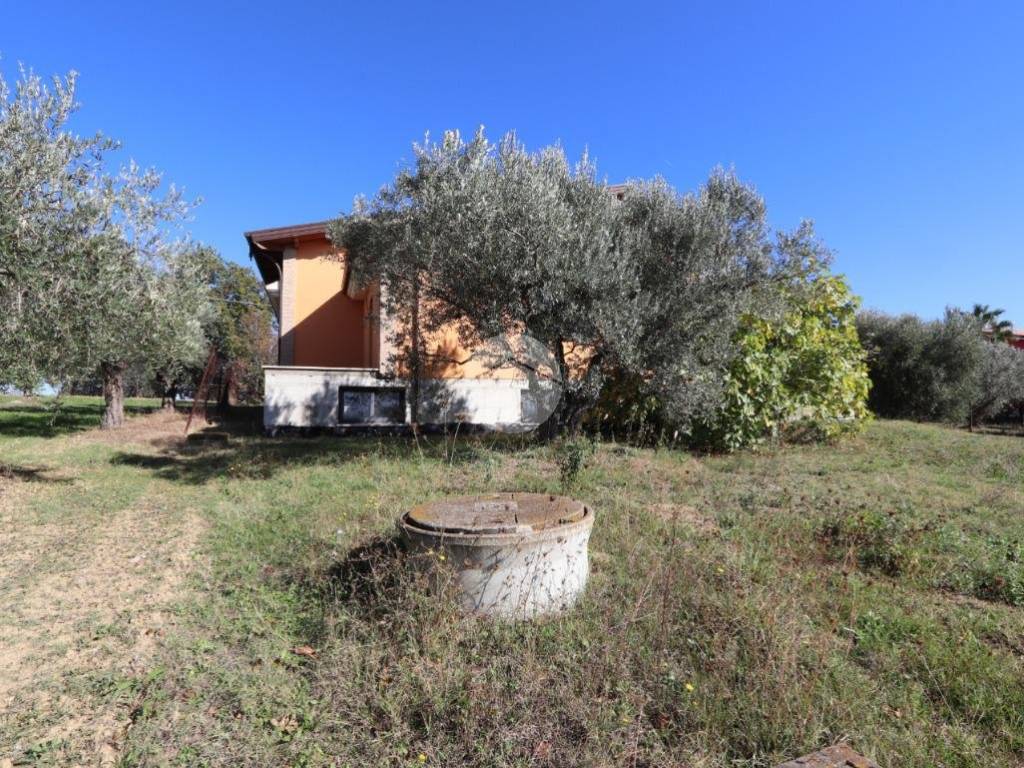 Villa a Controguerra in Contrada S. Giovanni - Foto 5