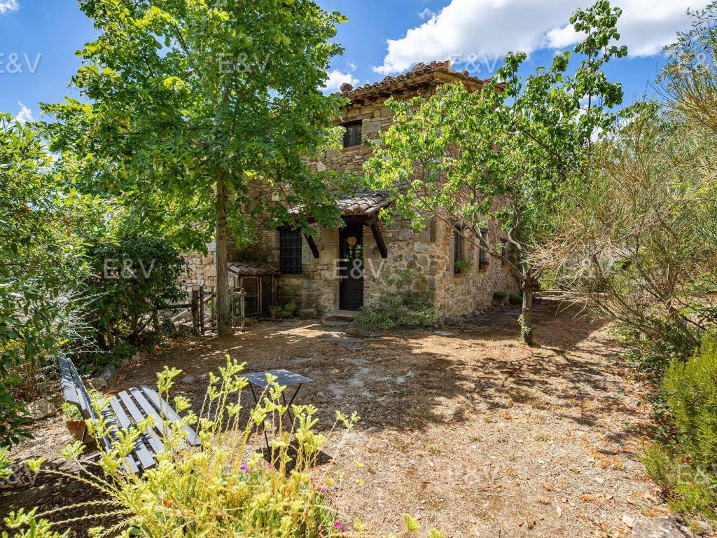 Rustico / casale a Piegaro in Via Roma - Foto 3