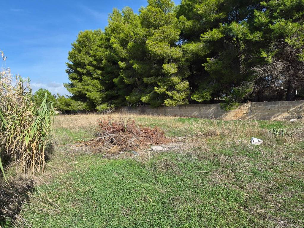 Terreno a Maruggio in Via delle Mimose - Foto 3