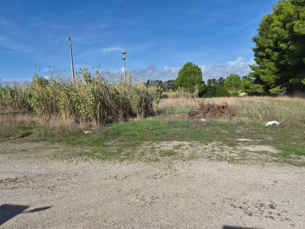 Terreno a Maruggio in Via delle Mimose - Foto 4