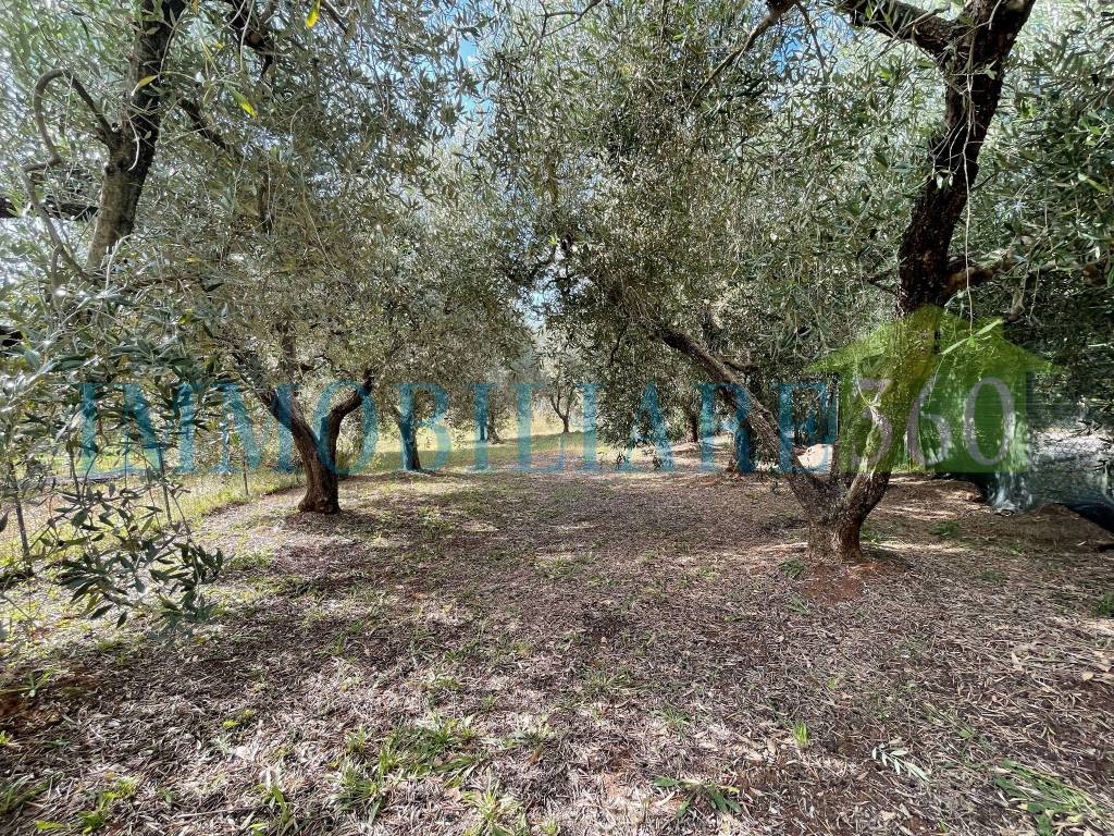 Casa indipendente a Orbetello in Strada Vicinale della Provinca - Foto 4
