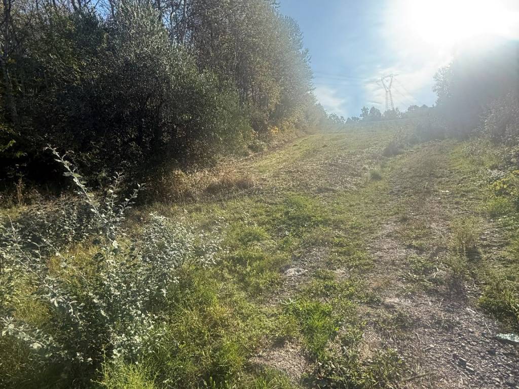 Terreno a Pratola serra in Via Provinciale - Foto 2
