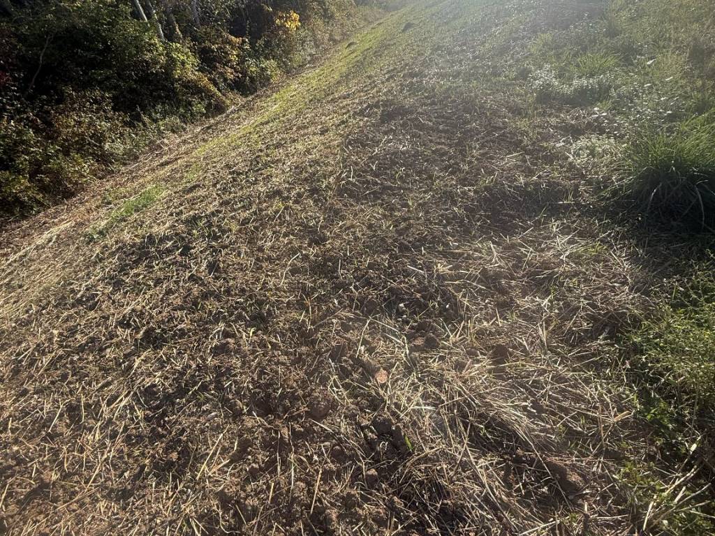Terreno a Pratola serra in Via Provinciale - Foto 3