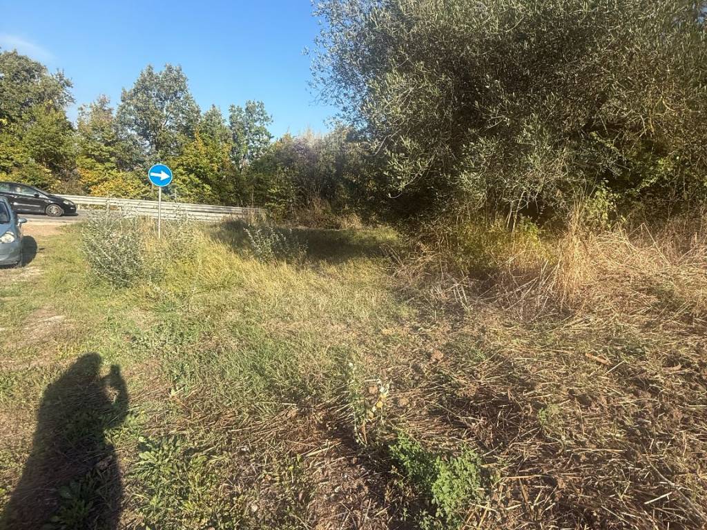 Terreno a Pratola serra in Via Provinciale - Foto 4