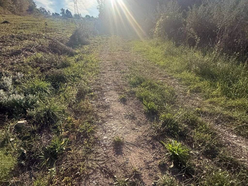 Terreno a Pratola serra in Via Provinciale - Foto 5