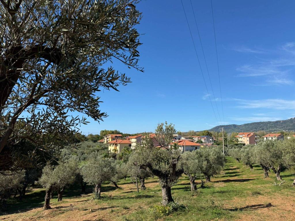 Terreno a Lamezia terme in Località Bosco Francica - Foto 2