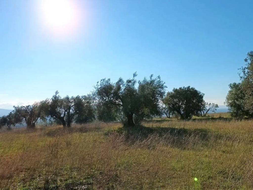 Terreno a Viterbo in Strada Monterazzano S.N.C. - Foto 2