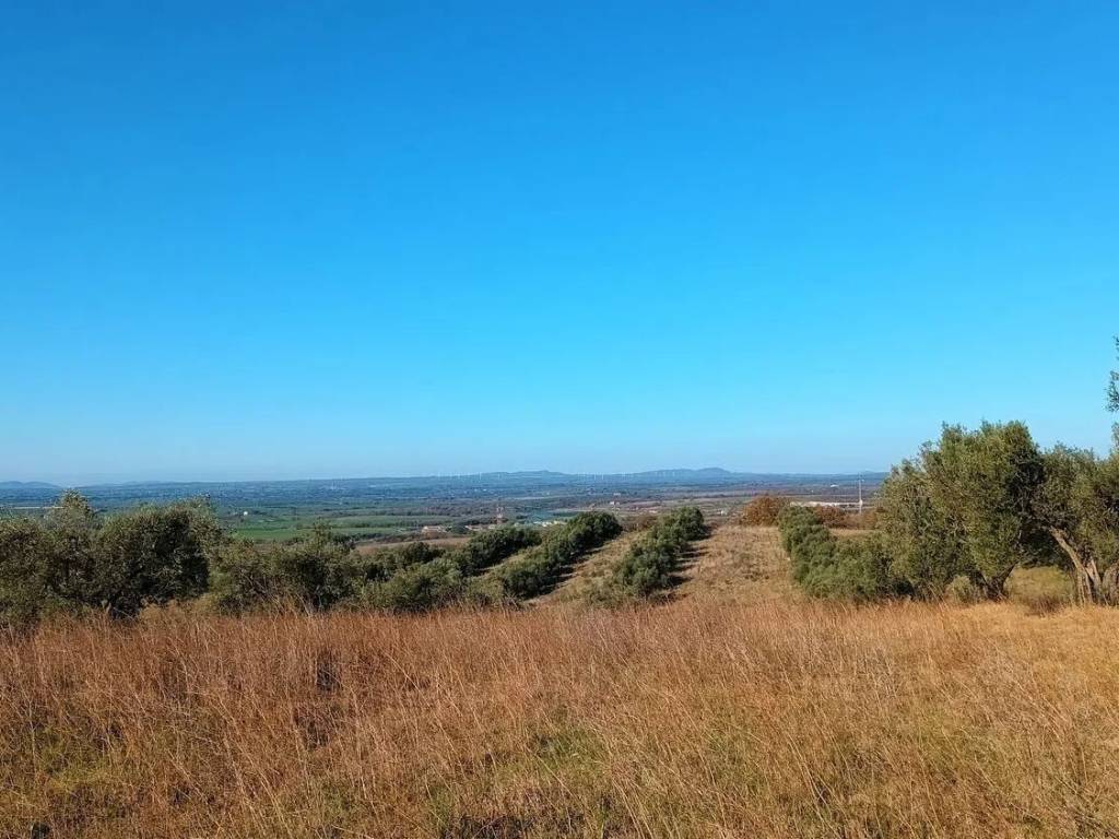 Terreno a Viterbo in Strada Monterazzano S.N.C. - Foto 3