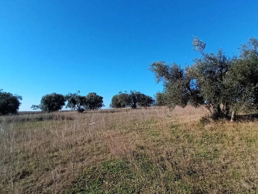 Terreno a Viterbo in Strada Monterazzano S.N.C. - Foto 4