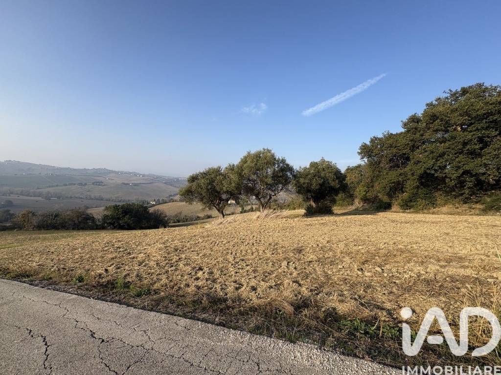 Terreno a Montecosaro in Località Asola - Foto 2