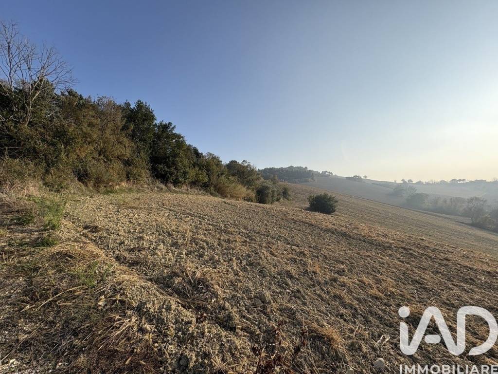 Terreno a Montecosaro in Località Asola - Foto 3