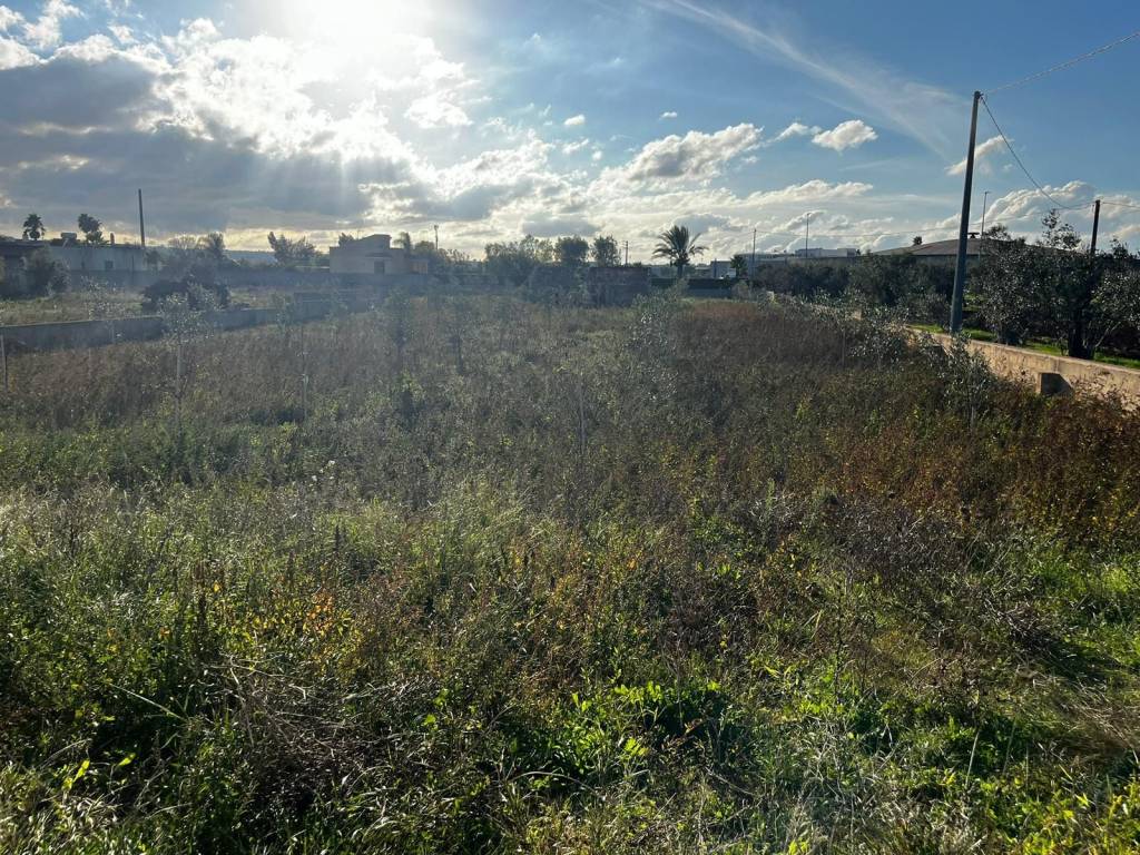 Villa a Specchia in Via Stazione - Foto 5
