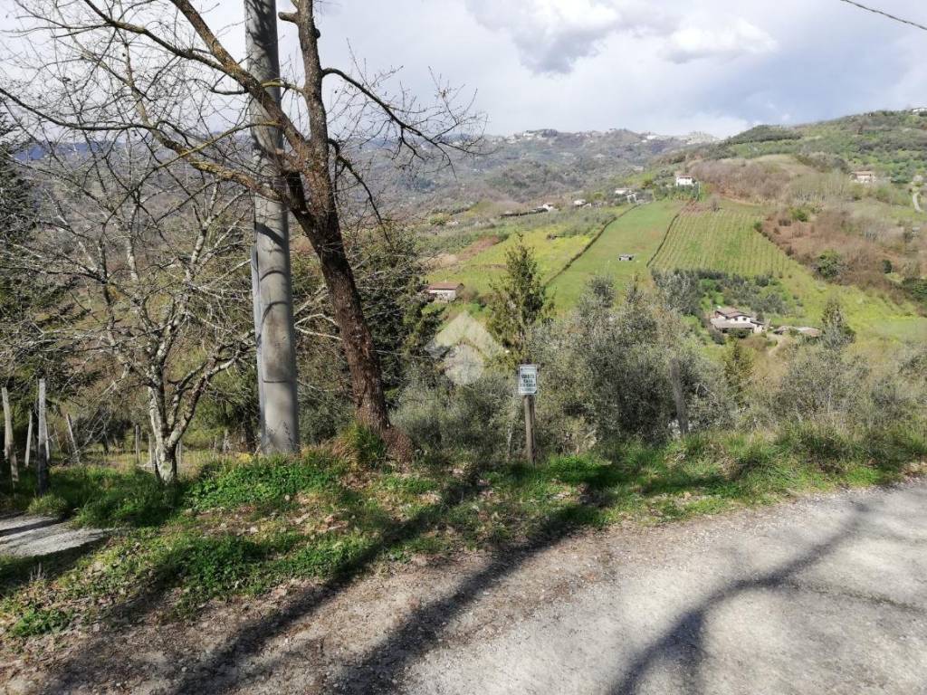 Casa indipendente a Olevano romano in c/da Fumato - Foto 2